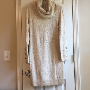 Loft Sweater Dress